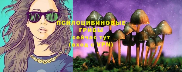 трава Майский