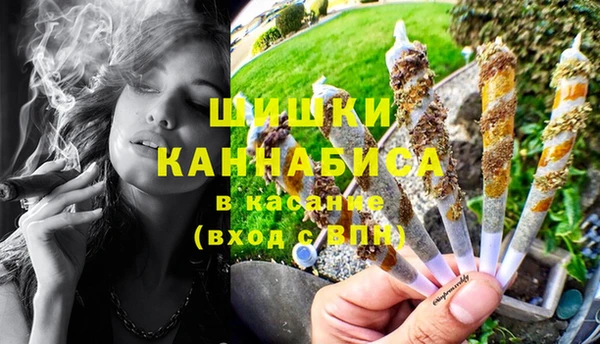 сатива Лихославль