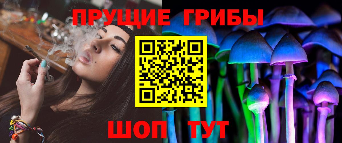 Малоярославец  даркнет сайт  Вход с VPN  Псилоцибиновые грибы GOLDEN TEACHER 