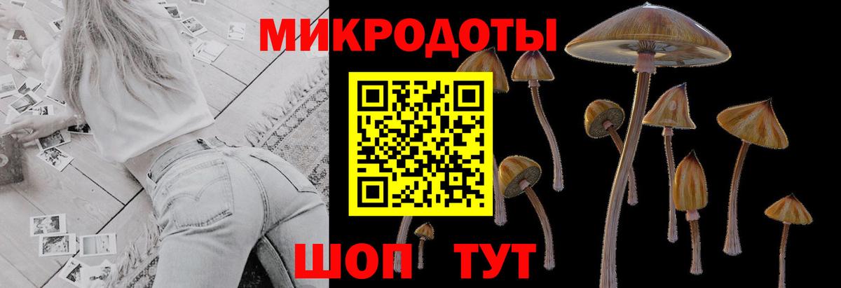 Псилоцибиновые грибы Cubensis Малоярославец