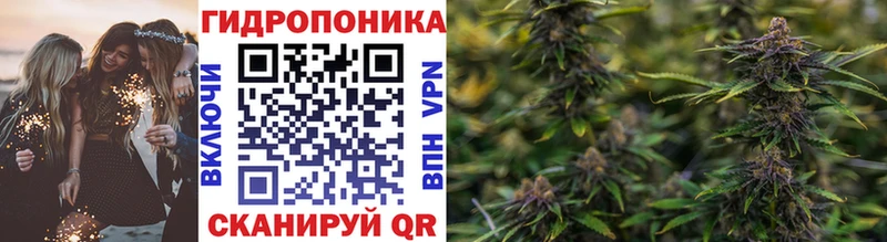 Конопля Amnesia  даркнет сайт  Малоярославец 